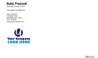 Everything DiSC Productive Conflict profile