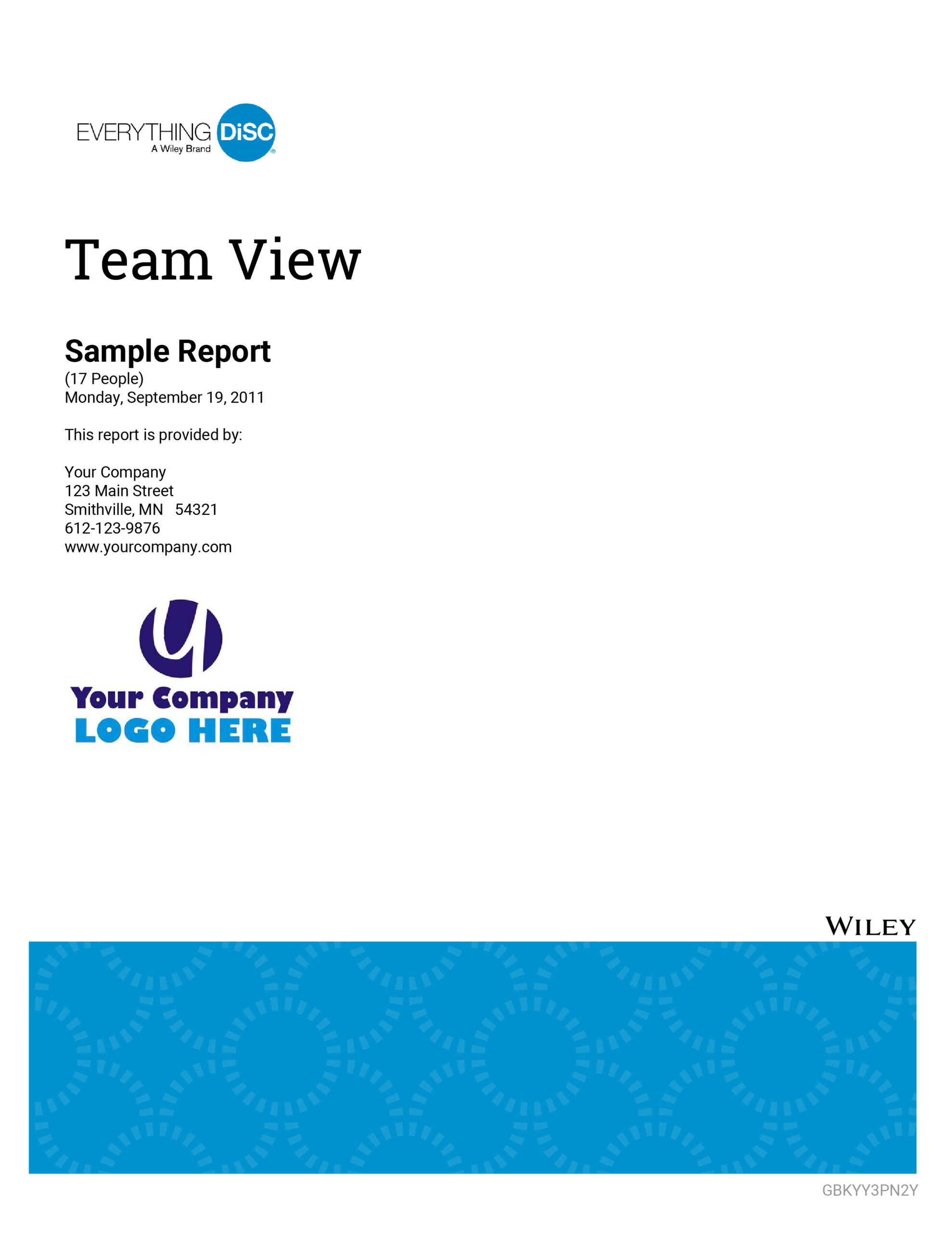 Everything DiSC Team View report