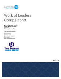 Everything DiSC Work of Leaders Group report