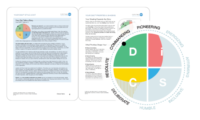 Everything DiSC Work of Leaders Profile