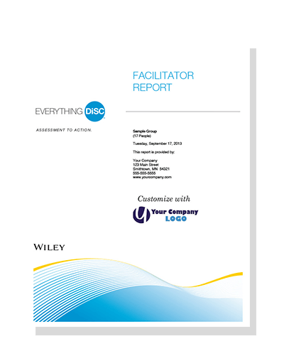 everything disc facilitator report