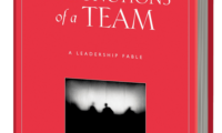 livre five behaviors disc partners