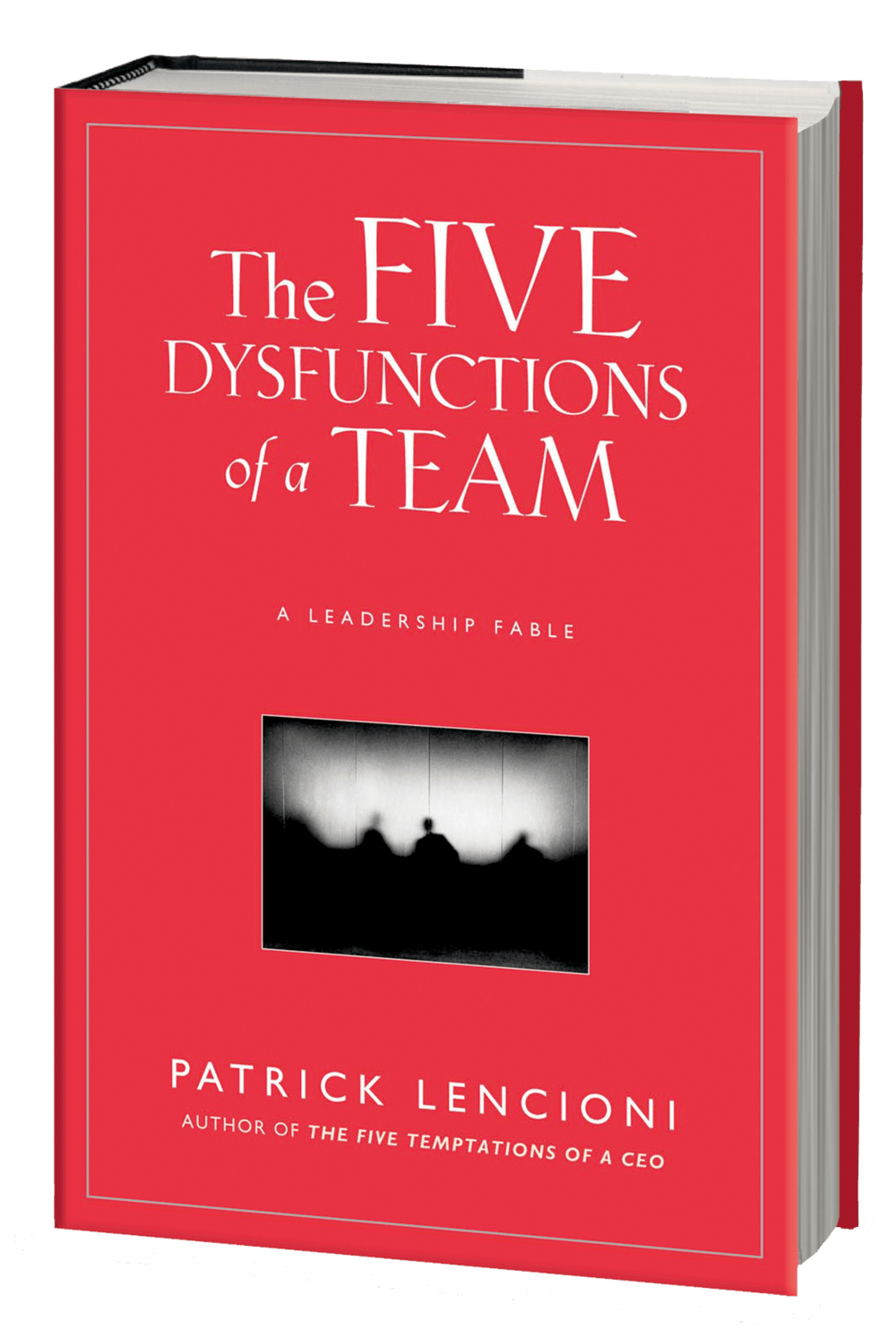 livre five behaviors disc partners